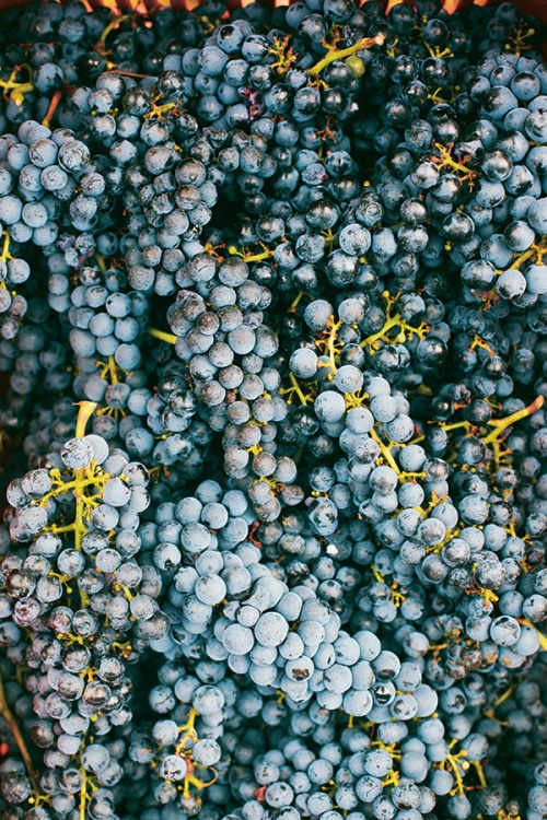 From grape to glass with minimal intervention